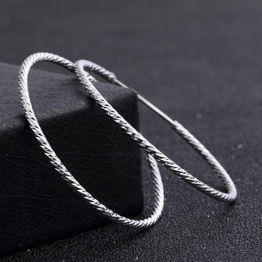 Fashion Sterling Silver Hoop Earrings for Women-Earrings-JEWELRYSHEOWN