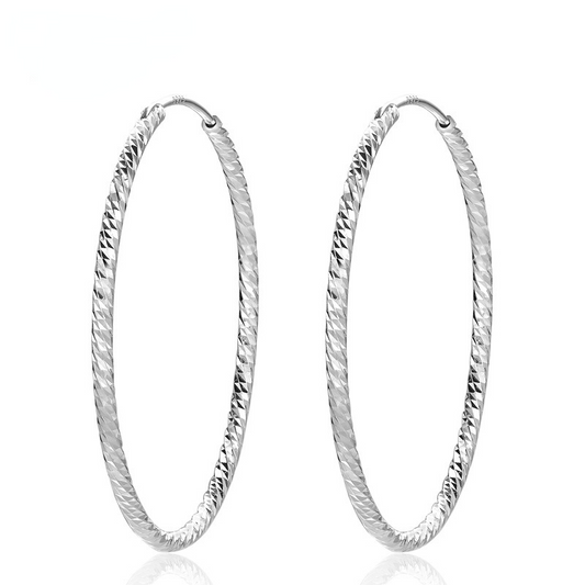 Fashion Sterling Silver Hoop Earrings for Women-Earrings-JEWELRYSHEOWN